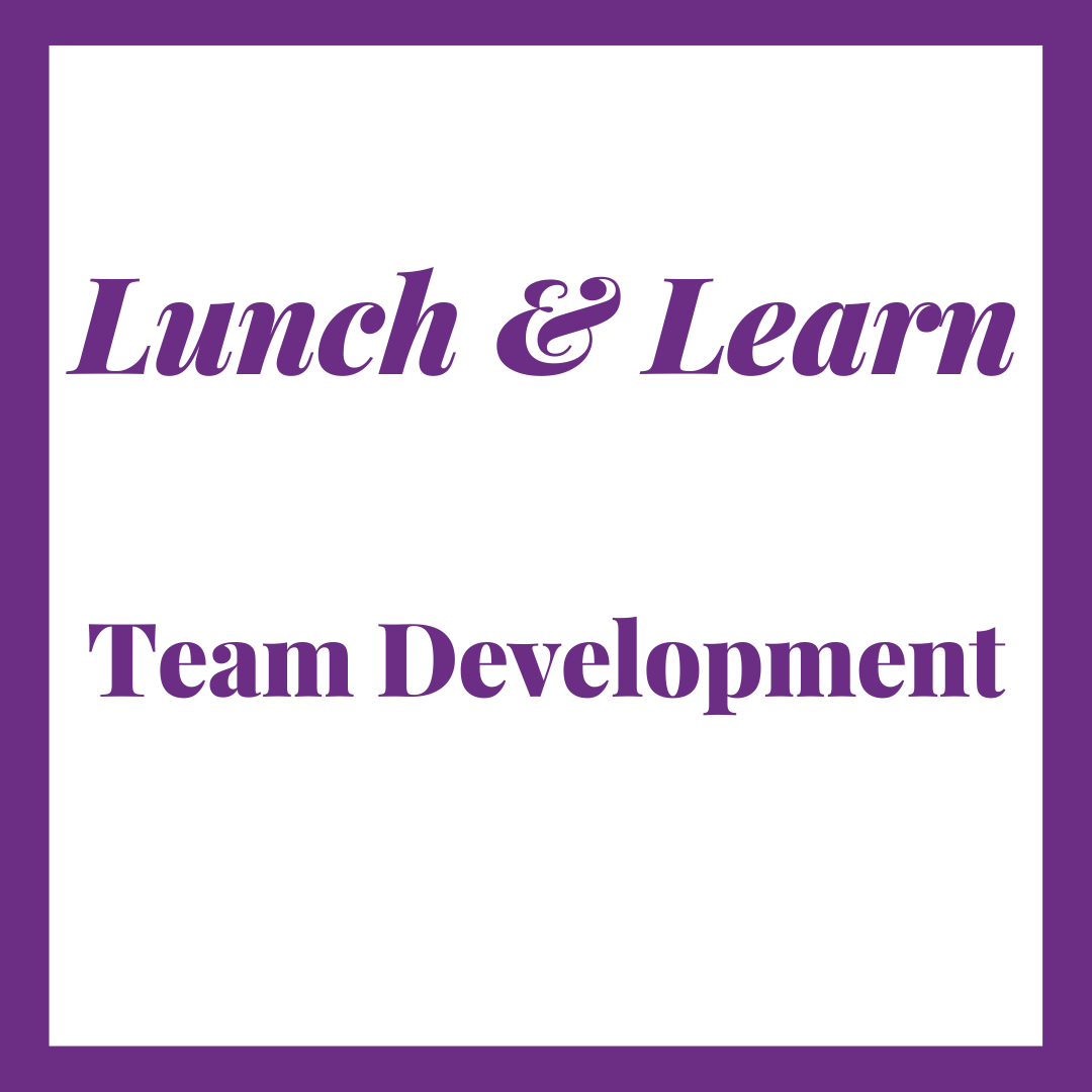 Team Development -  The Leadership Game facilitation and executive review